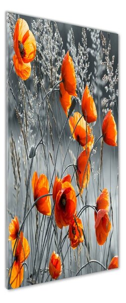 Fotografie imprimată pe sticlă wildflowers maci