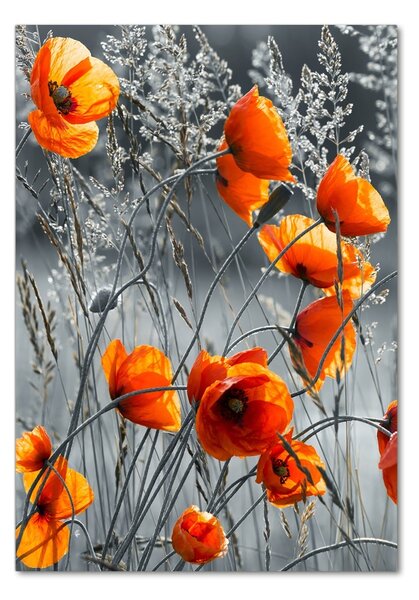 Fotografie imprimată pe sticlă wildflowers maci