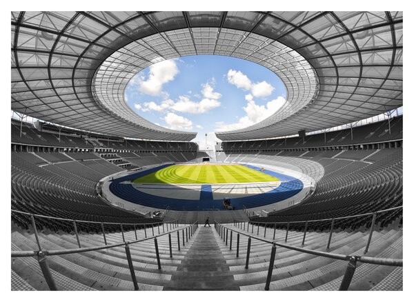 Tablou - stadionul de fodbal (70x50 cm)