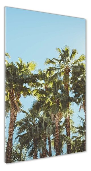 Tablou din Sticlă palmieri