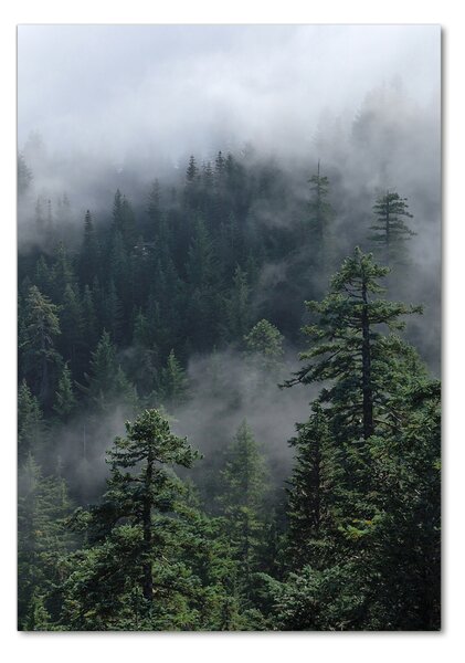 Fotografie imprimată pe sticlă Ceață peste pădure