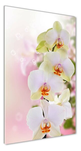 Tablou pe pe sticlă alb orhidee