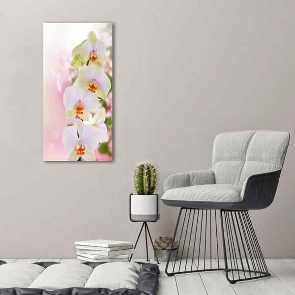 Tablou canvas alb orhidee