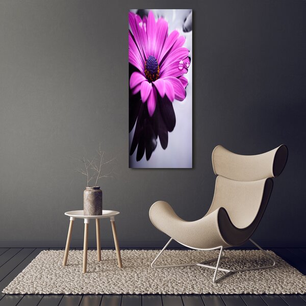 Fotografie imprimată pe sticlă gerbera roz
