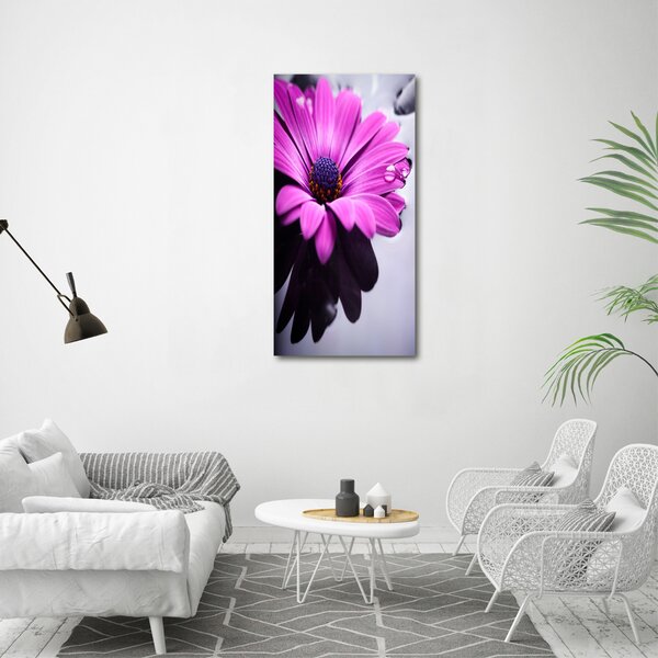 Fotografie imprimată pe sticlă gerbera roz