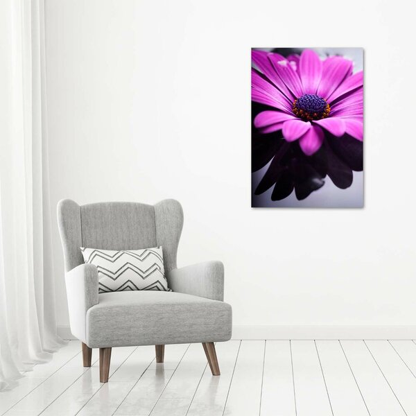 Fotografie imprimată pe sticlă gerbera roz