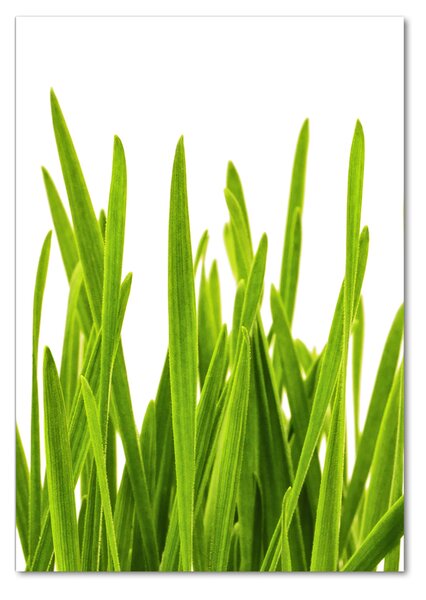 Imagine de sticlă iarbă verde