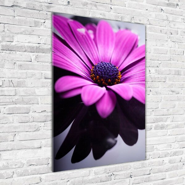 Fotografie imprimată pe sticlă gerbera roz