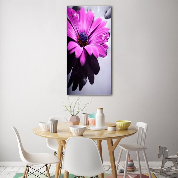 Fotografie imprimată pe sticlă gerbera roz