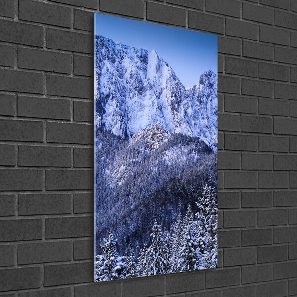 Tablou Printat Pe Sticlă Tatra Munții Giewont