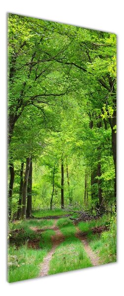 Tablou Printat Pe Sticlă Pădure verde