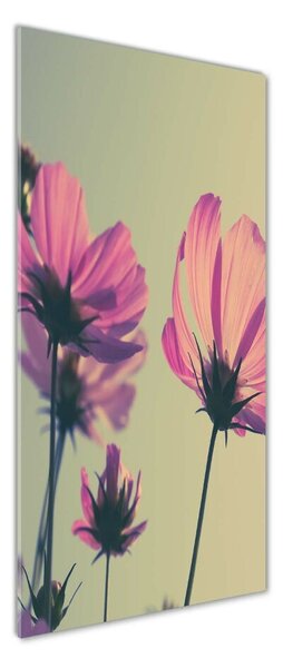 Tablou Printat Pe Sticlă flori roz
