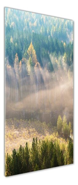 Tablou pe pe sticlă Ceață peste pădure