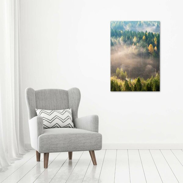 Tablou canvas Ceață peste pădure