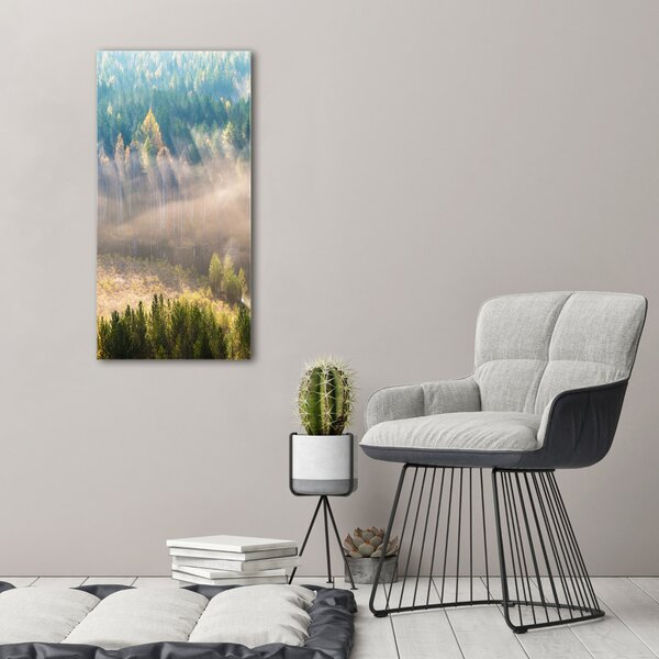 Tablou canvas Ceață peste pădure