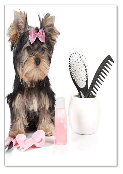 Tablou din Sticlă cosmetice Yorkshire