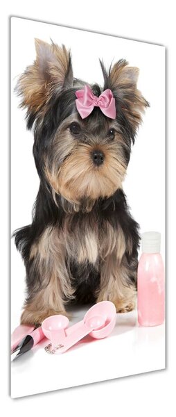 Tablou din Sticlă cosmetice Yorkshire