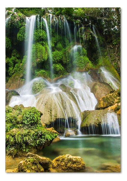 Tablou sticlă Cascada din junglă