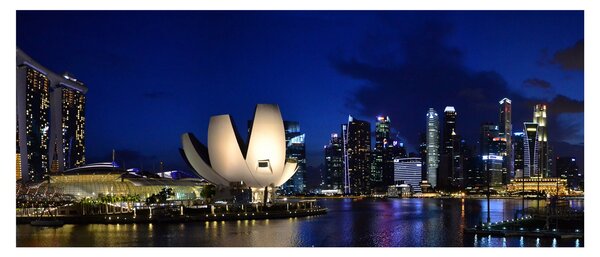 Tablou Singapore nocturn (120x50 cm)