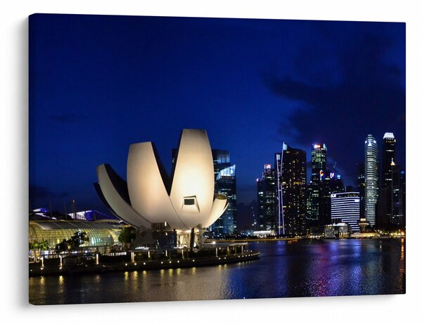 Tablou Singapore nocturn (70x50 cm)