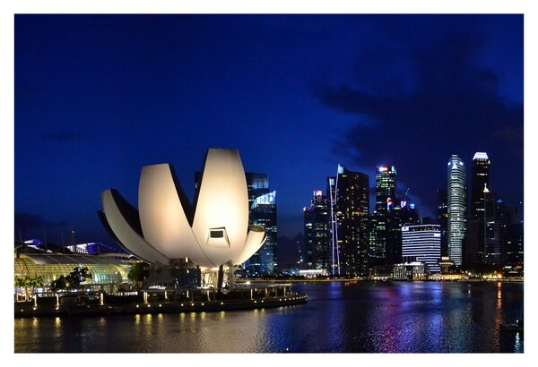 Tablou Singapore nocturn (90x60 cm)