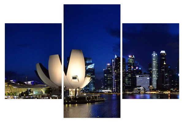 Tablou Singapore nocturn (90x60 cm)