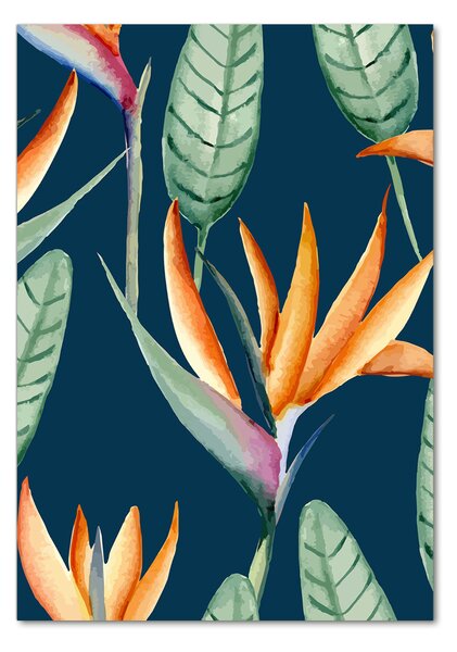 Tablou Printat Pe Sticlă Strelitzia reginae