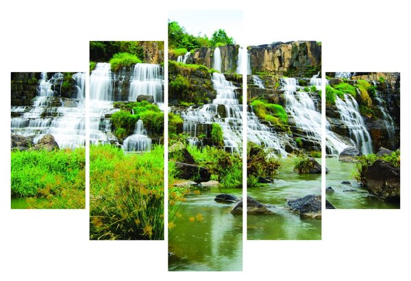 Tablou - cascade cu plante (150x105 cm)