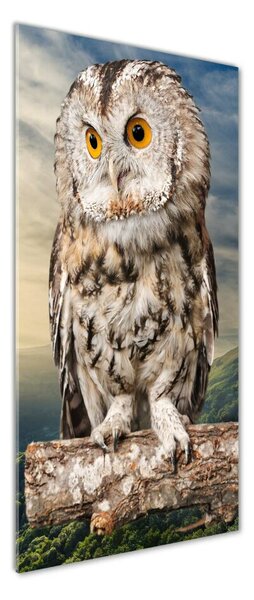 Fotografie imprimată pe sticlă Owl pe deal