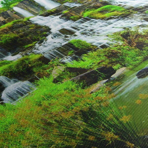 Tablou - cascade cu plante (150x105 cm)