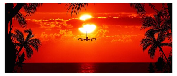 Tablou - apus de soare cu avion (120x50 cm)