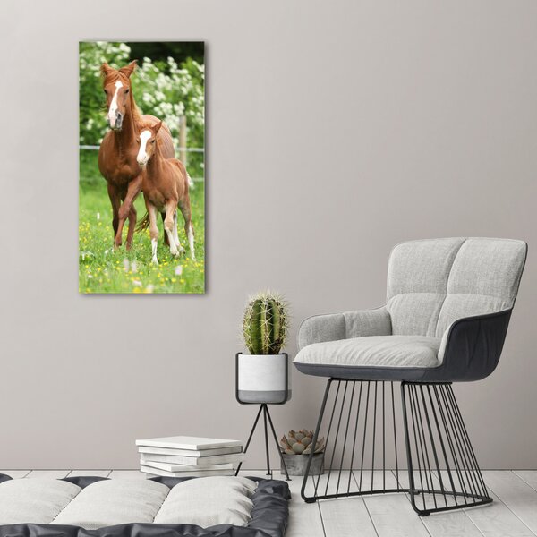 Tablou canvas Mare și mânz