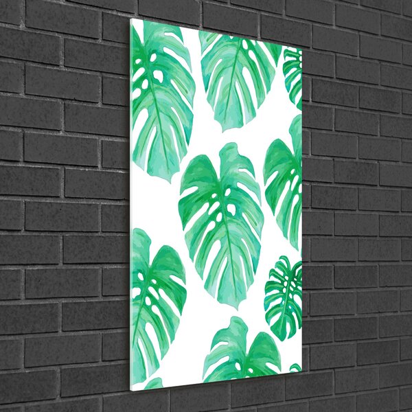 Fotografie imprimată pe sticlă Monstera