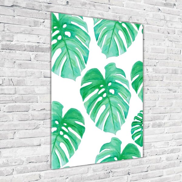 Fotografie imprimată pe sticlă Monstera