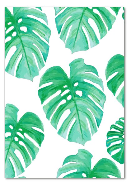 Fotografie imprimată pe sticlă Monstera