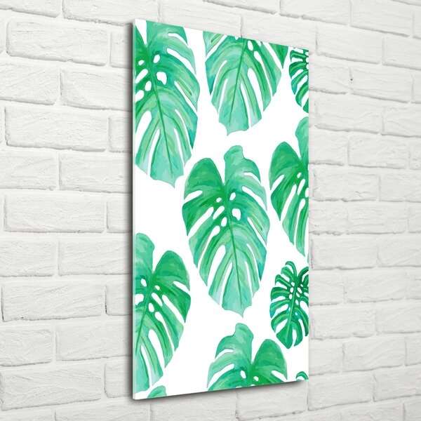 Fotografie imprimată pe sticlă Monstera