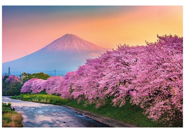 Fototapet Japonia minunată