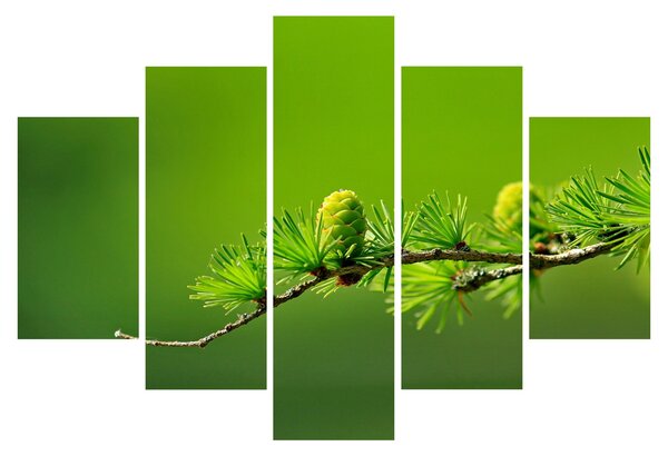 Tablou con verde (150x105 cm)