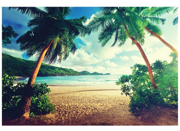 Fototapet apus de soare pe insula Seychelles