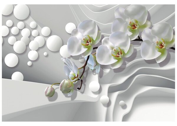Tapet orhidee pe fundal abstract