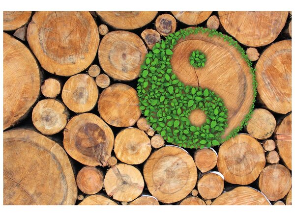 Fototapet Yin și Yang în design eco