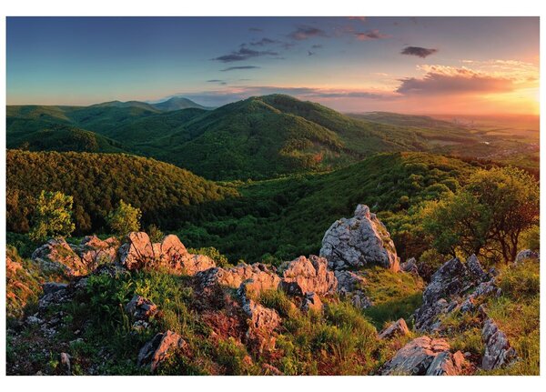 Fototapet natura scăldată în soare