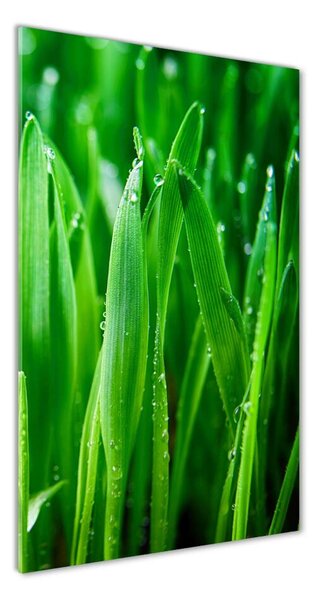 Imagine de sticlă lame de iarbă