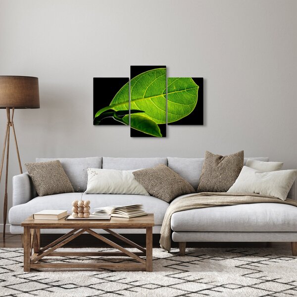 Tablou - frunză verde (90x60 cm)