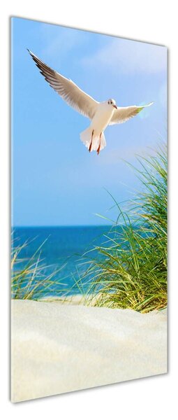 Tablou pe pe sticlă Seagull peste dune