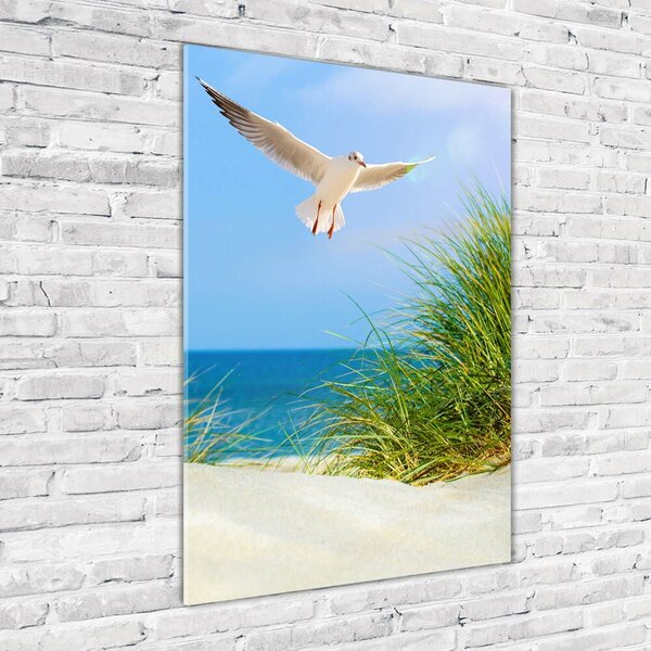 Tablou pe pe sticlă Seagull peste dune