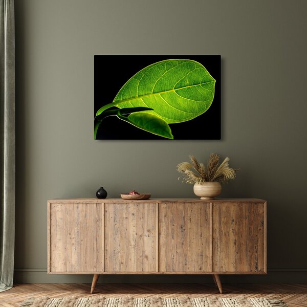 Tablou - frunză verde (90x60 cm)