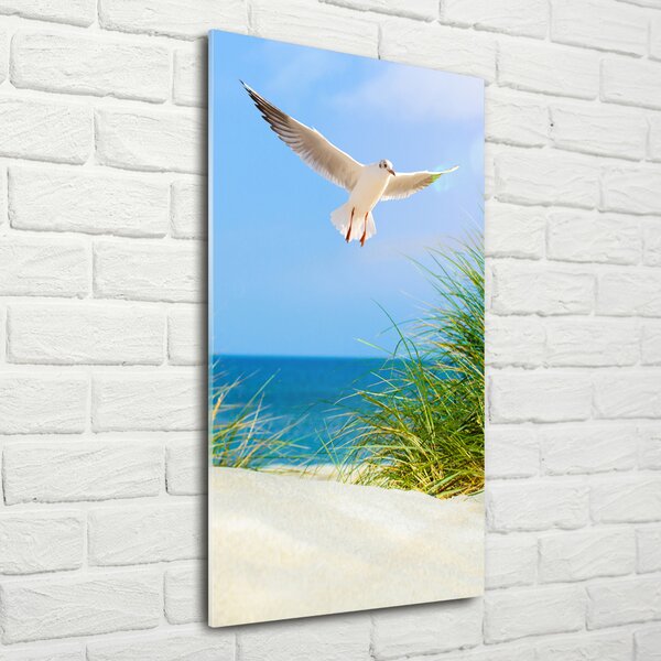 Tablou pe pe sticlă Seagull peste dune