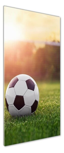 Tablou din Sticlă Fotbal