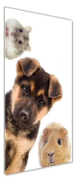 Tablou din Sticlă Animale de companie